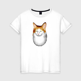 Женская футболка хлопок с принтом ГНЕГ в Белгороде, 100% хлопок | прямой крой, круглый вырез горловины, длина до линии бедер, слегка спущенное плечо | гнег | ирония | котэ | мем | мемы про котов | мета | постирония | прикол | ржака