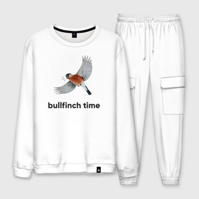 Мужской костюм хлопок с принтом Bullfinch time в Белгороде, 100% хлопок | на свитшоте круглая горловина, мягкая резинка по низу. Брюки заужены к низу, на них два вида карманов: два “обычных” по бокам и два объемных, с клапанами, расположенные ниже линии бедра. Брюки с мягкой трикотажной резинкой на поясе и по низу штанин. В поясе для дополнительного комфорта — широкие завязки | Тематика изображения на принте: bird | bullfinch | wings | летать | полет | птица | снегирь