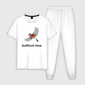 Мужская пижама хлопок с принтом Bullfinch time в Белгороде, 100% хлопок | брюки и футболка прямого кроя, без карманов, на брюках мягкая резинка на поясе и по низу штанин
 | bird | bullfinch | wings | летать | полет | птица | снегирь