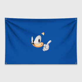 Флаг-баннер с принтом Sonic в Белгороде, 100% полиэстер | размер 67 х 109 см, плотность ткани — 95 г/м2; по краям флага есть четыре люверса для крепления | hedgehog | sega | еж | ежик | сега | соник