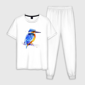 Мужская пижама хлопок с принтом Kingfisher в Белгороде, 100% хлопок | брюки и футболка прямого кроя, без карманов, на брюках мягкая резинка на поясе и по низу штанин
 | акварель | графика | зимородок | крутой | модный | принт | птица | птичка | рисунок | рыбак | рыболов | скетч | стильный | яркий
