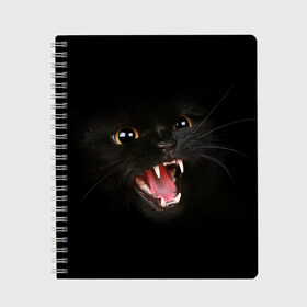 Тетрадь с принтом Злой Котик в Белгороде, 100% бумага | 48 листов, плотность листов — 60 г/м2, плотность картонной обложки — 250 г/м2. Листы скреплены сбоку удобной пружинной спиралью. Уголки страниц и обложки скругленные. Цвет линий — светло-серый
 | Тематика изображения на принте: angry | animal | animals | beast | black | cat | kitten | британец | британка | животное | животные | зверек | зверь | злая | злой | кот | котейка | котенок | котэ | кошка | кошки | черная