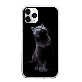 Чехол для iPhone 11 Pro Max матовый с принтом Кот Британец в Белгороде, Силикон |  | animal | animals | beast | black | cat | kitten | британец | британка | животное | животные | зверек | зверь | кот | котейка | котенок | котики | котэ | кошка | кошки | черная