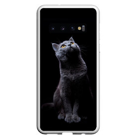 Чехол для Samsung Galaxy S10 с принтом Кот Британец в Белгороде, Силикон | Область печати: задняя сторона чехла, без боковых панелей | Тематика изображения на принте: animal | animals | beast | black | cat | kitten | британец | британка | животное | животные | зверек | зверь | кот | котейка | котенок | котики | котэ | кошка | кошки | черная