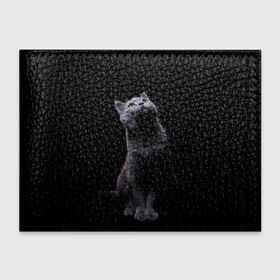 Обложка для студенческого билета с принтом Кот Британец в Белгороде, натуральная кожа | Размер: 11*8 см; Печать на всей внешней стороне | animal | animals | beast | black | cat | kitten | британец | британка | животное | животные | зверек | зверь | кот | котейка | котенок | котики | котэ | кошка | кошки | черная