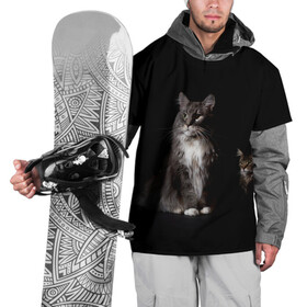 Накидка на куртку 3D с принтом Котики в Белгороде, 100% полиэстер |  | animal | animals | beast | black | cat | kitten | животное | животные | зверек | зверь | кот | котейка | котенок | котики | котэ | кошка | кошки | мейн кун | черная