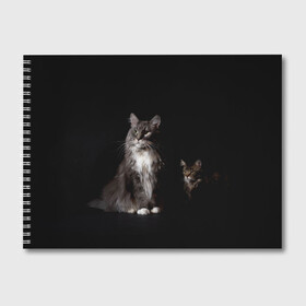 Альбом для рисования с принтом Котики в Белгороде, 100% бумага
 | матовая бумага, плотность 200 мг. | animal | animals | beast | black | cat | kitten | животное | животные | зверек | зверь | кот | котейка | котенок | котики | котэ | кошка | кошки | мейн кун | черная