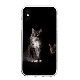 Чехол для iPhone XS Max матовый с принтом Котики в Белгороде, Силикон | Область печати: задняя сторона чехла, без боковых панелей | animal | animals | beast | black | cat | kitten | животное | животные | зверек | зверь | кот | котейка | котенок | котики | котэ | кошка | кошки | мейн кун | черная