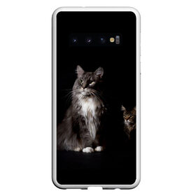 Чехол для Samsung Galaxy S10 с принтом Котики в Белгороде, Силикон | Область печати: задняя сторона чехла, без боковых панелей | Тематика изображения на принте: animal | animals | beast | black | cat | kitten | животное | животные | зверек | зверь | кот | котейка | котенок | котики | котэ | кошка | кошки | мейн кун | черная