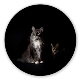 Коврик для мышки круглый с принтом Котики в Белгороде, резина и полиэстер | круглая форма, изображение наносится на всю лицевую часть | animal | animals | beast | black | cat | kitten | животное | животные | зверек | зверь | кот | котейка | котенок | котики | котэ | кошка | кошки | мейн кун | черная