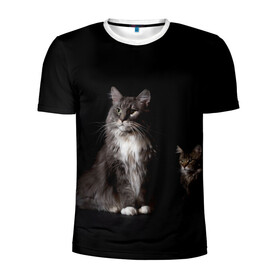 Мужская футболка 3D спортивная с принтом Котики в Белгороде, 100% полиэстер с улучшенными характеристиками | приталенный силуэт, круглая горловина, широкие плечи, сужается к линии бедра | animal | animals | beast | black | cat | kitten | животное | животные | зверек | зверь | кот | котейка | котенок | котики | котэ | кошка | кошки | мейн кун | черная
