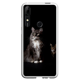 Чехол для Honor P Smart Z с принтом Котики в Белгороде, Силикон | Область печати: задняя сторона чехла, без боковых панелей | Тематика изображения на принте: animal | animals | beast | black | cat | kitten | животное | животные | зверек | зверь | кот | котейка | котенок | котики | котэ | кошка | кошки | мейн кун | черная
