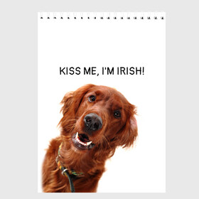 Скетчбук с принтом Ирландский сеттер в Белгороде, 100% бумага
 | 48 листов, плотность листов — 100 г/м2, плотность картонной обложки — 250 г/м2. Листы скреплены сверху удобной пружинной спиралью | irish | kiss me | kiss me im irish | ирландец | ирландия | ирландский | ирландский сеттер | красный сеттер | поцелуй меня я ирландец | рыжий сеттер | сеттер