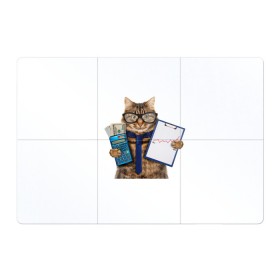 Магнитный плакат 3Х2 с принтом Кот в очках в Белгороде, Полимерный материал с магнитным слоем | 6 деталей размером 9*9 см | cat | график | деньги | калькулятор | кот | кот в очках