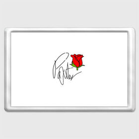Магнит 45*70 с принтом PAYTON MOORMEIER в Белгороде, Пластик | Размер: 78*52 мм; Размер печати: 70*45 | Тематика изображения на принте: flower | payton moormeier | roses | tiktok | блогер | пейтон | пейтон моормиер | розы | тикток | тиктокер | цветы | ютубер