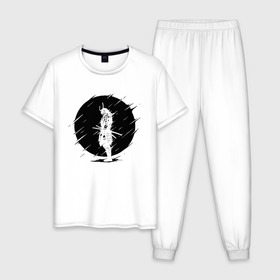 Мужская пижама хлопок с принтом SAMURAI в Белгороде, 100% хлопок | брюки и футболка прямого кроя, без карманов, на брюках мягкая резинка на поясе и по низу штанин
 | 