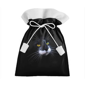 Подарочный 3D мешок с принтом Кот в Белгороде, 100% полиэстер | Размер: 29*39 см | Тематика изображения на принте: animal | animals | beast | black | cat | kitten | британец | британка | животное | животные | зверек | зверь | кот | котейка | котенок | котики | котэ | кошка | кошки | черная