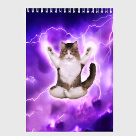 Скетчбук с принтом Повелитель Молний Котэ в Белгороде, 100% бумага
 | 48 листов, плотность листов — 100 г/м2, плотность картонной обложки — 250 г/м2. Листы скреплены сверху удобной пружинной спиралью | cat | cats | kitten | kitty | memes | nice | punk | rain | yoga | грозы | дождь | йога | кот | котик | котики | котэ | кошка | медитация | мем | мемы | милая | милый | молнии | панк | приколы | рок | рэп | трэш