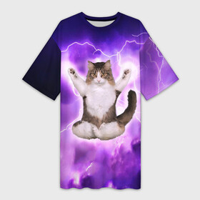Платье-футболка 3D с принтом Повелитель Молний | Котэ в Белгороде,  |  | cat | cats | kitten | kitty | memes | nice | punk | rain | yoga | грозы | дождь | йога | кот | котик | котики | котэ | кошка | медитация | мем | мемы | милая | милый | молнии | панк | приколы | рок | рэп | трэш
