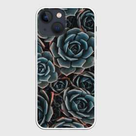 Чехол для iPhone 13 mini с принтом ЦВЕТЫ РОЗЫ | STEEL ROSES в Белгороде,  |  | bloom | blossom | flos | flowers | steel roses | красота | лепестки | растения | цветки | цветы