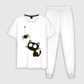Мужская пижама хлопок с принтом Котик и паучек в Белгороде, 100% хлопок | брюки и футболка прямого кроя, без карманов, на брюках мягкая резинка на поясе и по низу штанин
 | высказывание | идея | котик | манера | мемы | паук | разные | рисунок | символ