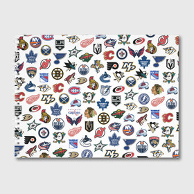 Альбом для рисования с принтом Логотипы НХЛ в Белгороде, 100% бумага
 | матовая бумага, плотность 200 мг. | capitals | nhl | penguins | pittsburgh | washington | блюз | бостон | брюинз | вашингтон | детройт | кэпиталз | логотипы нхл | нью йорк | пингвинз | питтсбург | рейнджерс | сан хосе шаркс | сент луис | тампа бэй