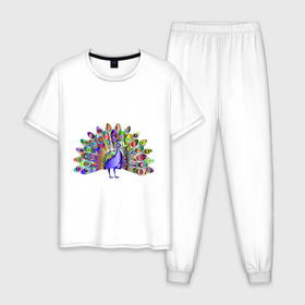 Мужская пижама хлопок с принтом Павлин в Белгороде, 100% хлопок | брюки и футболка прямого кроя, без карманов, на брюках мягкая резинка на поясе и по низу штанин
 | Тематика изображения на принте: peacock | животные | павлин | птица