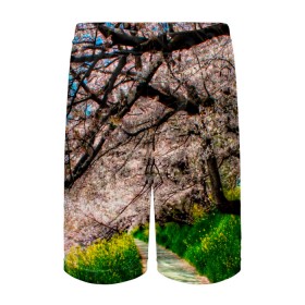 Детские спортивные шорты 3D с принтом Весна 2020. в Белгороде,  100% полиэстер
 | пояс оформлен широкой мягкой резинкой, ткань тянется
 | весенние картинки | весна | весна 2020 | зелнь | прекрасное время года | прикольные картинки | природа | птицы | тюльпаны | цветы