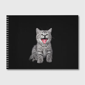Альбом для рисования с принтом Кричащий кот в Белгороде, 100% бумага
 | матовая бумага, плотность 200 мг. | Тематика изображения на принте: животные | звери | зевающий кот | кися | кот | котенок | котики | коты | кричащий кот | минимализм | питомцы | прикольные картинки