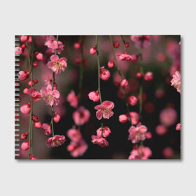 Альбом для рисования с принтом Весна 2020 в Белгороде, 100% бумага
 | матовая бумага, плотность 200 мг. | весенние картинки | весна | весна 2020 | зелнь | прекрасное время года | прикольные картинки | природа | птицы | тюльпаны | цветы