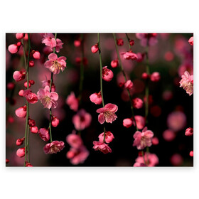 Поздравительная открытка с принтом Весна 2020. в Белгороде, 100% бумага | плотность бумаги 280 г/м2, матовая, на обратной стороне линовка и место для марки
 | весенние картинки | весна | весна 2020 | зелнь | прекрасное время года | прикольные картинки | природа | птицы | тюльпаны | цветы