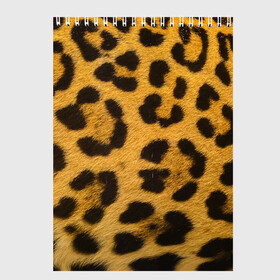 Скетчбук с принтом Леопард в Белгороде, 100% бумага
 | 48 листов, плотность листов — 100 г/м2, плотность картонной обложки — 250 г/м2. Листы скреплены сверху удобной пружинной спиралью | abstract | animal | cat | leopard | texture | абстракция | гепард | животное | животные | зверь | кот | кошка | леопард | охотник | паттерн | полигоны | текстура | узор | хищник