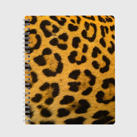 Тетрадь с принтом Леопард в Белгороде, 100% бумага | 48 листов, плотность листов — 60 г/м2, плотность картонной обложки — 250 г/м2. Листы скреплены сбоку удобной пружинной спиралью. Уголки страниц и обложки скругленные. Цвет линий — светло-серый
 | abstract | animal | cat | leopard | texture | абстракция | гепард | животное | животные | зверь | кот | кошка | леопард | охотник | паттерн | полигоны | текстура | узор | хищник