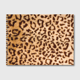 Альбом для рисования с принтом Леопард в Белгороде, 100% бумага
 | матовая бумага, плотность 200 мг. | Тематика изображения на принте: abstract | animal | cat | leopard | texture | абстракция | гепард | животное | животные | зверь | кот | кошка | леопард | охотник | паттерн | полигоны | текстура | узор | хищник