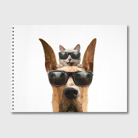 Альбом для рисования с принтом Блатные животные в Белгороде, 100% бумага
 | матовая бумага, плотность 200 мг. | Тематика изображения на принте: dog | блатной кот | животные | животные.
кот | звери | котенок | коты | минимализм | питомцы | прикольные картинки | собака