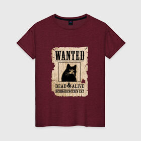 Женская футболка хлопок с принтом Кот в Белгороде, 100% хлопок | прямой крой, круглый вырез горловины, длина до линии бедер, слегка спущенное плечо | cat | wanted | живым или мертвым | кот | кот шредингера | котэ | опасен | разыскивается | чёрный кот