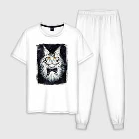 Мужская пижама хлопок с принтом Hello kittys! в Белгороде, 100% хлопок | брюки и футболка прямого кроя, без карманов, на брюках мягкая резинка на поясе и по низу штанин
 | акварельный | арт | галстук бабочка | глаза | кот | коты | котяра | кошка | крутая рисунок | мейнкун | мейнкуны | мех | мэйн кун | портрет | рисованный | скетч | стильная | чёрный