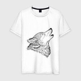 Мужская футболка хлопок с принтом Поющий волк в Белгороде, 100% хлопок | прямой крой, круглый вырез горловины, длина до линии бедер, слегка спущенное плечо. | canidae | canis latrans | canis lupus | wolf | воет | волк | волки | коёт | пес | псовые | серый волк | собаки