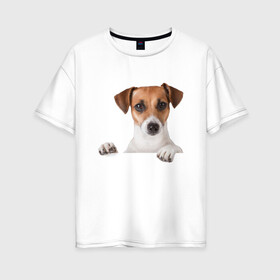Женская футболка хлопок Oversize с принтом Собака в Белгороде, 100% хлопок | свободный крой, круглый ворот, спущенный рукав, длина до линии бедер
 | джек рассел | друг | пес | питомец | собака