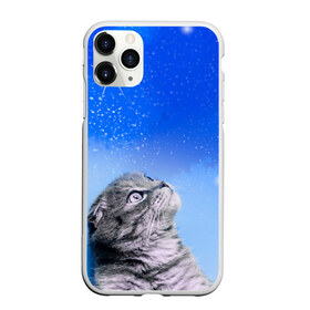 Чехол для iPhone 11 Pro Max матовый с принтом Кот и космос в Белгороде, Силикон |  | cat | cat and space | kitty | в космосе | звездное небо | звёзды | космический кот | кот | кот в космосе | кот и звезды | кот смотрит | кот смотрит на небо | котенок | котик | кошка