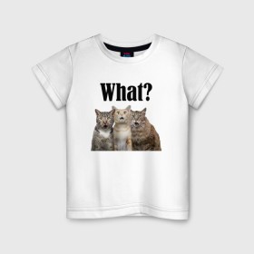 Детская футболка хлопок с принтом Удивленные кошки в Белгороде, 100% хлопок | круглый вырез горловины, полуприлегающий силуэт, длина до линии бедер | веселые | котенок | котики | кошка | кошки | трио | удивление | удивленные