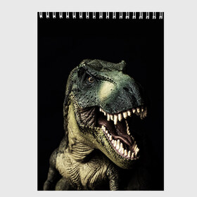 Скетчбук с принтом Динозавр T-Rex в Белгороде, 100% бумага
 | 48 листов, плотность листов — 100 г/м2, плотность картонной обложки — 250 г/м2. Листы скреплены сверху удобной пружинной спиралью | dino | dinosauria | t rex | ti rex | дино | динозавр | парк юрского | т рекс | ти рекс | чудовище | юрский период | ящер | ящерица