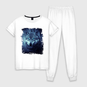Женская пижама хлопок с принтом Волк в Белгороде, 100% хлопок | брюки и футболка прямого кроя, без карманов, на брюках мягкая резинка на поясе и по низу штанин | wolf | волк | волк в лесу | волк с голубыми глазами | лесной волк | ночной волк | синий волк | собака | темный волк