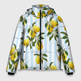 Мужская зимняя куртка 3D с принтом Лимоны в Белгороде, верх — 100% полиэстер; подкладка — 100% полиэстер; утеплитель — 100% полиэстер | длина ниже бедра, свободный силуэт Оверсайз. Есть воротник-стойка, отстегивающийся капюшон и ветрозащитная планка. 

Боковые карманы с листочкой на кнопках и внутренний карман на молнии. | texture | абстракт | абстракция | весна | лайм | лимон | лимоны | линии | листья | полосы | стиль | текстура