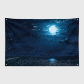 Флаг-баннер с принтом Ночное поле в Белгороде, 100% полиэстер | размер 67 х 109 см, плотность ткани — 95 г/м2; по краям флага есть четыре люверса для крепления | луна | небо | ночь | облака | поле