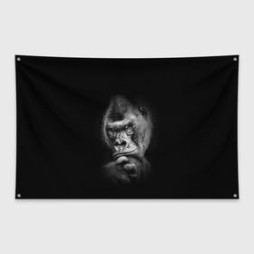 Флаг-баннер с принтом Ruanda в Белгороде, 100% полиэстер | размер 67 х 109 см, плотность ткани — 95 г/м2; по краям флага есть четыре люверса для крепления | eyes | gorilla | muzzle | nostrils | paw | ruanda | view | взгляд | глаза | горилла | животные | лапа | ноздри | руанда
