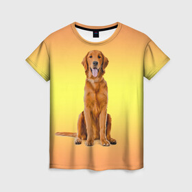 Женская футболка 3D с принтом Золотистый ретривер в Белгороде, 100% полиэфир ( синтетическое хлопкоподобное полотно) | прямой крой, круглый вырез горловины, длина до линии бедер | домашние любимцы | животные | золотистый ретривер | собака
