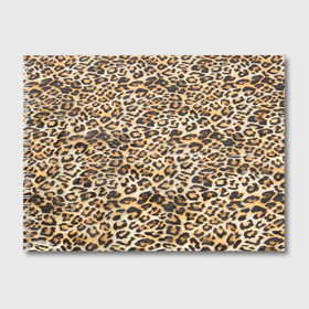 Альбом для рисования с принтом АФРИКАНСКИЙ ЛЕОПАРД в Белгороде, 100% бумага
 | матовая бумага, плотность 200 мг. | cat | jaguar | leopard | yaguar | дикая кошка | животные | кошка | леопард | пятна животного | текстура | шерсть | ягуар