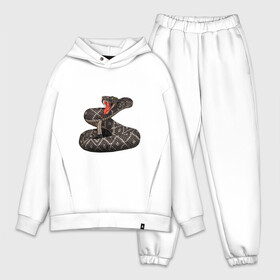 Мужской костюм хлопок OVERSIZE с принтом Гремучая змея в Белгороде,  |  | гремучая змея | животные | звери | змея | опасность | пресмыкающиеся | рисунок