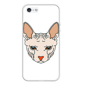 Чехол для iPhone 5/5S матовый с принтом Сфинкс в Белгороде, Силикон | Область печати: задняя сторона чехла, без боковых панелей | арт | животные | картинка | лысая кошка | лысый кот | мультяшный принт | нарисованная кошка | нарисованный кот | принт | рисунок | сфинкс